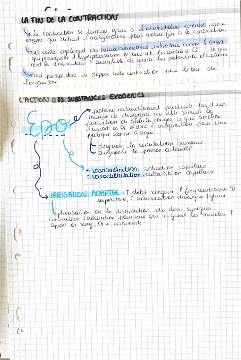 La contraction musculaire
Snecessite un raccourcissement musculare
CONSTITUTIONS DU MUSCLE
Muscle
Sun & de frisceaus musculcures, qui sont u