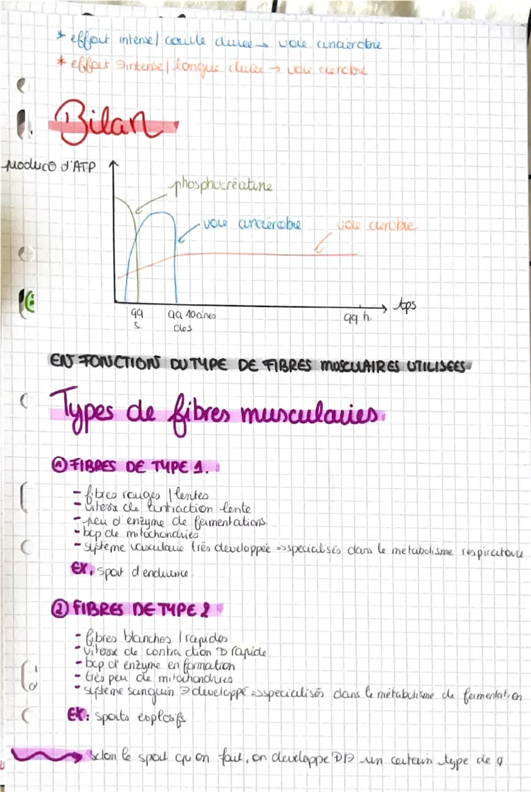 La contraction musculaire
Snecessite un raccourcissement musculare
CONSTITUTIONS DU MUSCLE
Muscle
Sun & de frisceaus musculcures, qui sont u