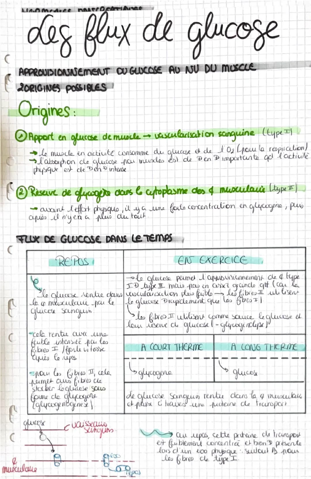 La contraction musculaire
Snecessite un raccourcissement musculare
CONSTITUTIONS DU MUSCLE
Muscle
Sun & de frisceaus musculcures, qui sont u