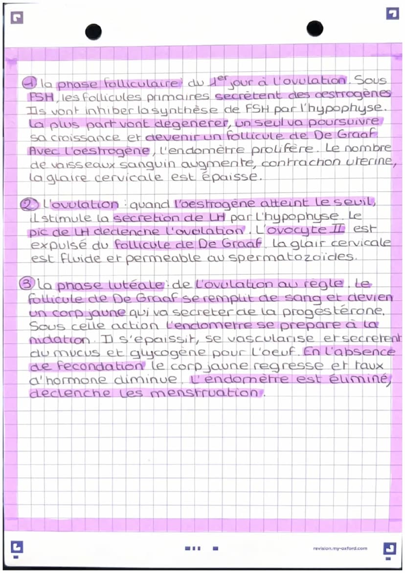 L'anatomie des appareils
reproducteur
-Apparel genital masculin
vessie
pubis
penis
corp
cavemeux
corp
Spongieux
gland
prepuce.
orifice uroge