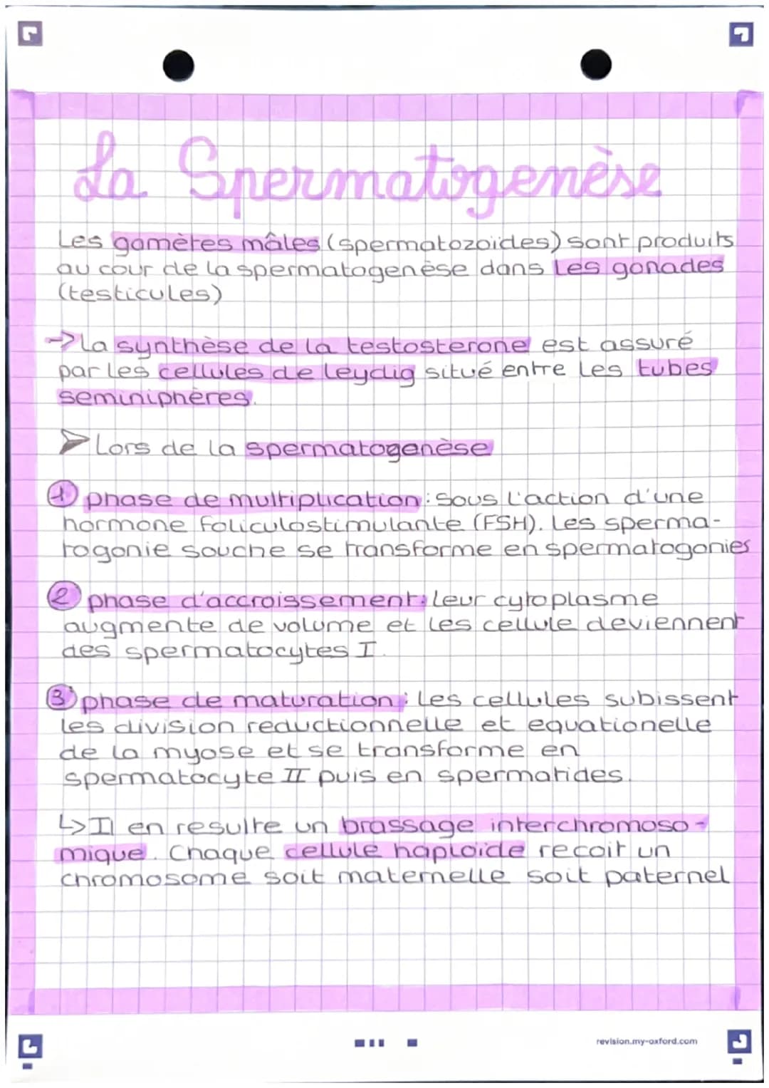 L'anatomie des appareils
reproducteur
-Apparel genital masculin
vessie
pubis
penis
corp
cavemeux
corp
Spongieux
gland
prepuce.
orifice uroge