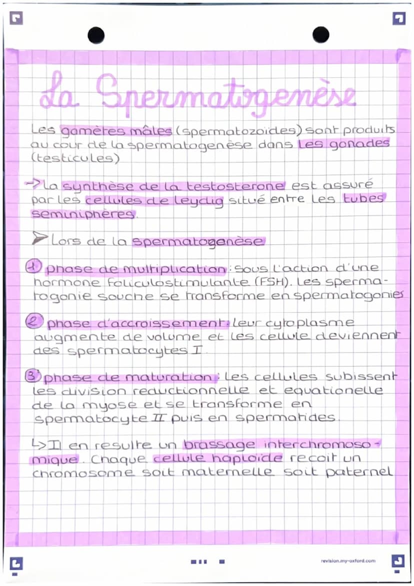 L'anatomie des appareils
reproducteur
-Apparel genital masculin
vessie
pubis
penis
corp
cavemeux
corp
Spongieux
gland
prepuce.
orifice uroge