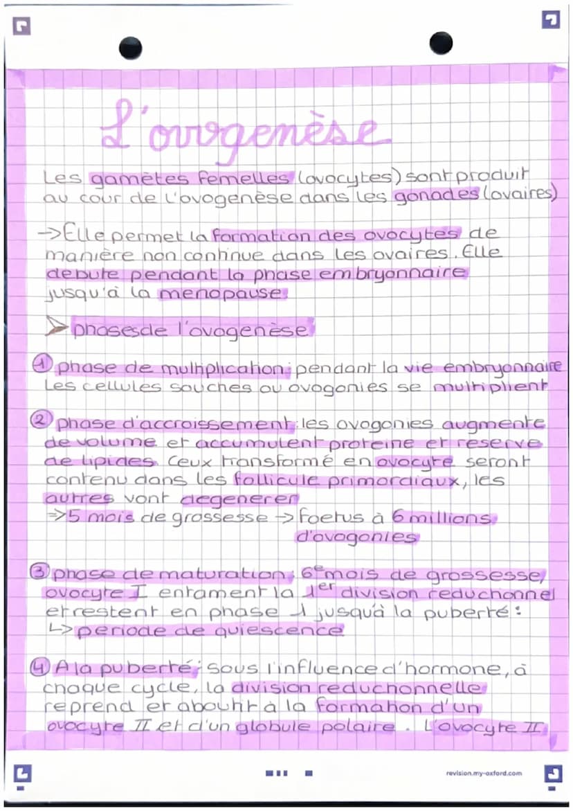 L'anatomie des appareils
reproducteur
-Apparel genital masculin
vessie
pubis
penis
corp
cavemeux
corp
Spongieux
gland
prepuce.
orifice uroge