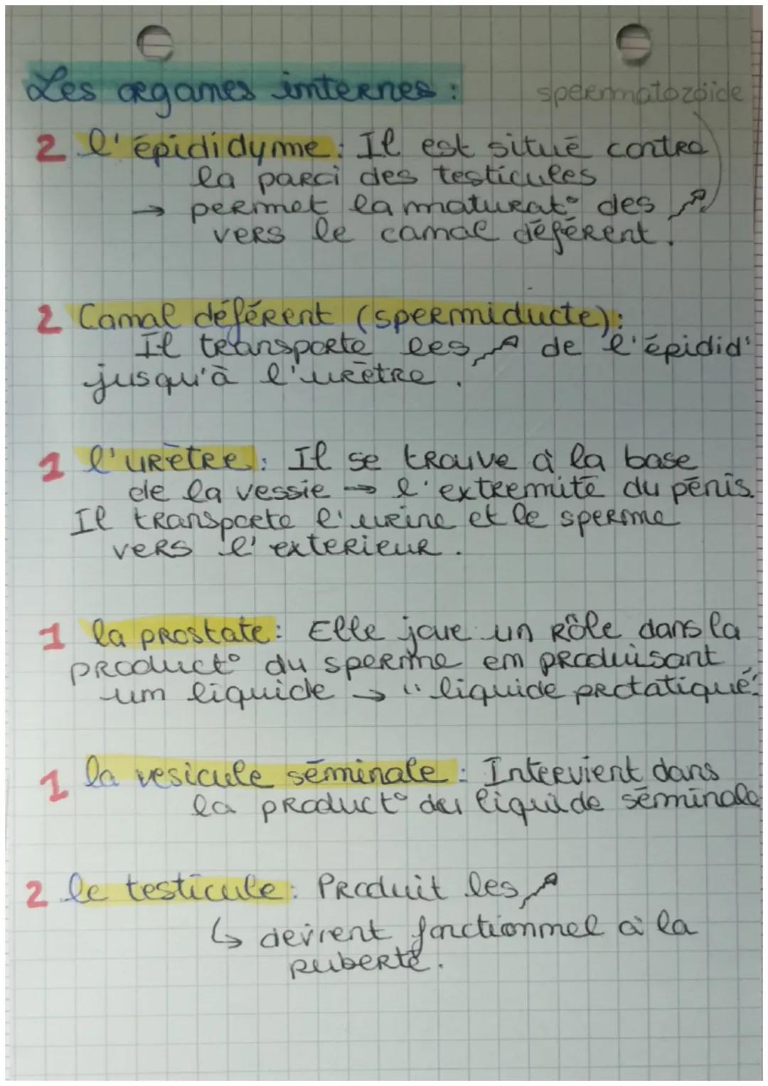 Brologie
L'App' Reproducteur or
URETRO-
Vesicule
semimand
Rectum
Anus
Canal
déférent
Epididyme
vessie
Camal
ejaculat
Prostate
penis
URêtre
C