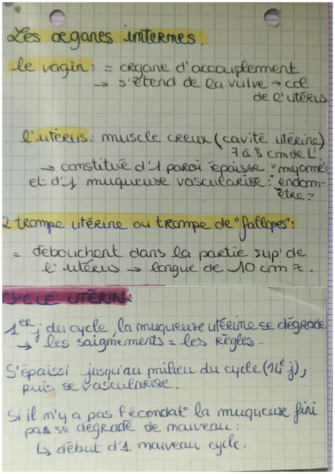 Brologie
L'App' Reproducteur or
URETRO-
Vesicule
semimand
Rectum
Anus
Canal
déférent
Epididyme
vessie
Camal
ejaculat
Prostate
penis
URêtre
C