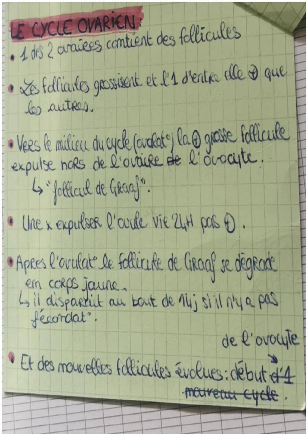 Brologie
L'App' Reproducteur or
URETRO-
Vesicule
semimand
Rectum
Anus
Canal
déférent
Epididyme
vessie
Camal
ejaculat
Prostate
penis
URêtre
C