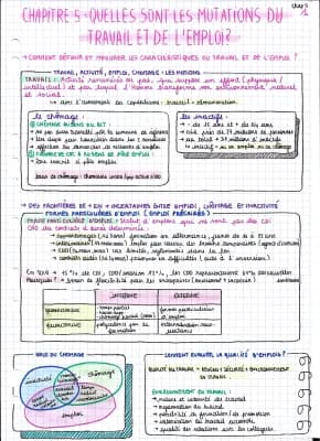 Know CHAPITRE 5 : QUELLES SONT LES MUTATIONS DU TRAVAIL ET DE L'EMPLOI? thumbnail