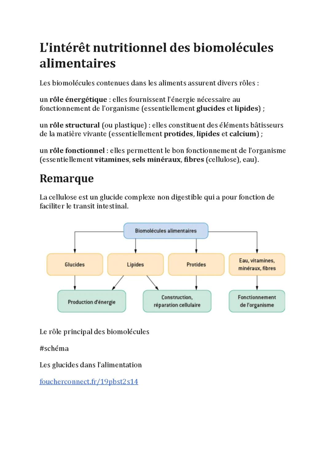 Tout savoir sur les biomolécules : Glucides, Lipides et Protéines en Nutrition