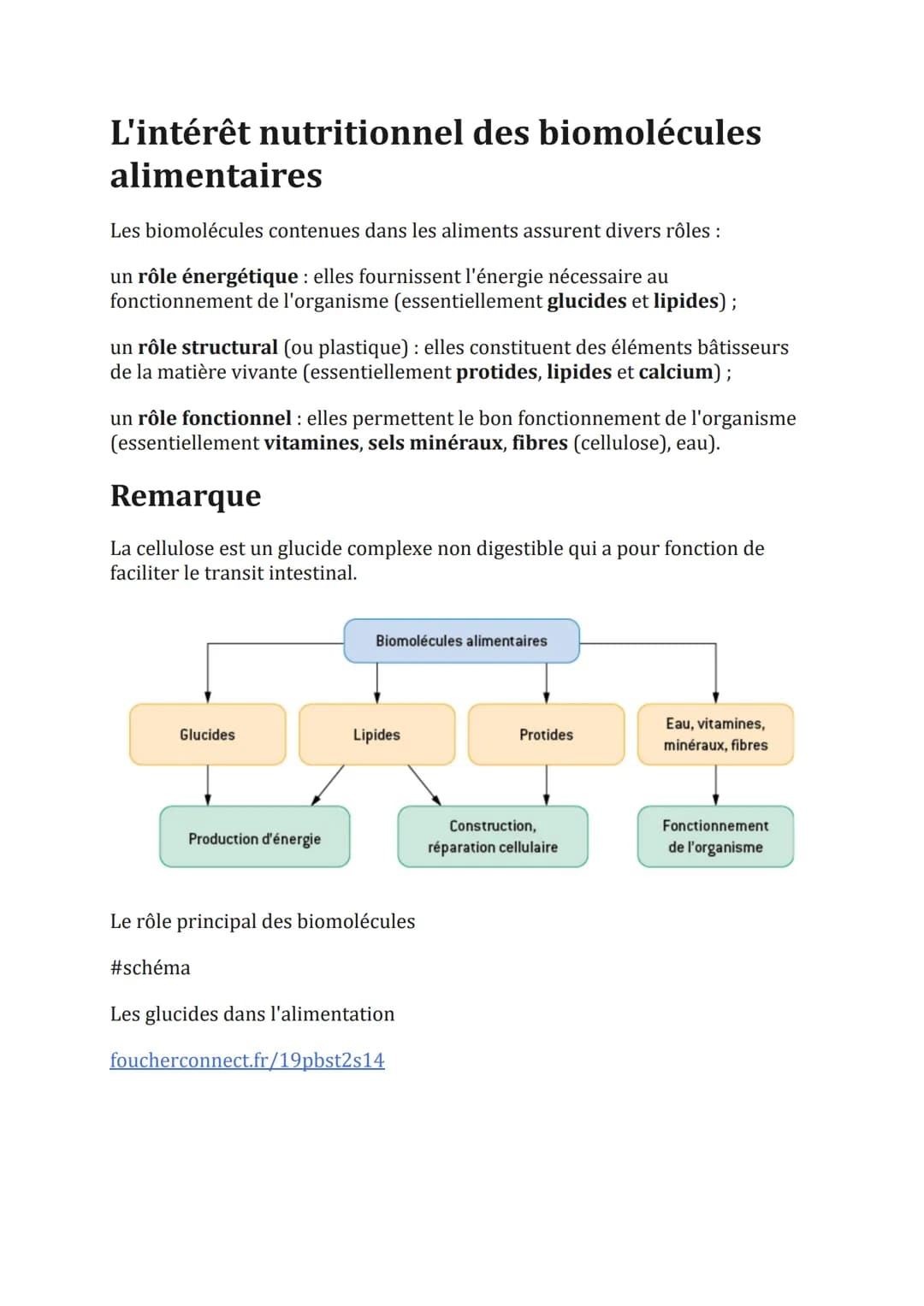 L'intérêt nutritionnel des biomolécules
alimentaires
Les biomolécules contenues dans les aliments assurent divers rôles :
un rôle énergétiqu