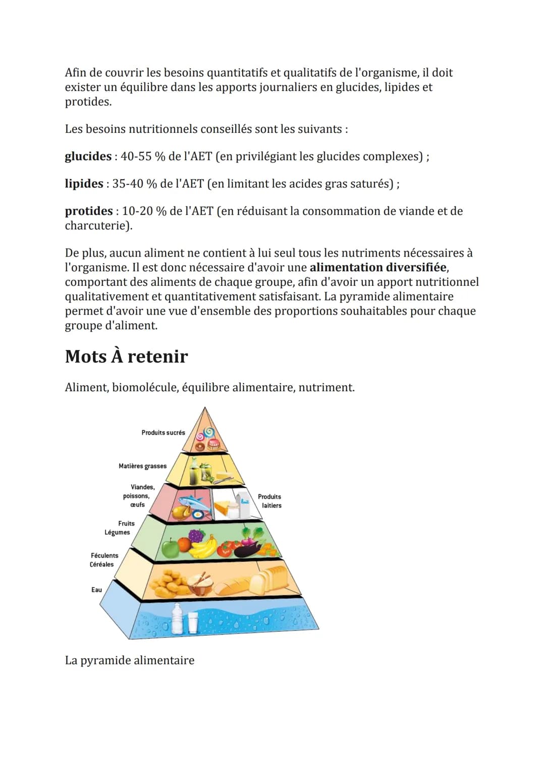 L'intérêt nutritionnel des biomolécules
alimentaires
Les biomolécules contenues dans les aliments assurent divers rôles :
un rôle énergétiqu