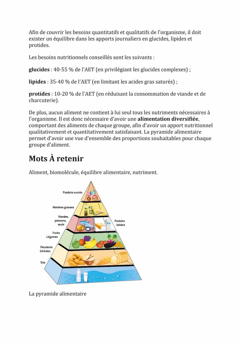 L'intérêt nutritionnel des biomolécules
alimentaires
Les biomolécules contenues dans les aliments assurent divers rôles :
un rôle énergétiqu