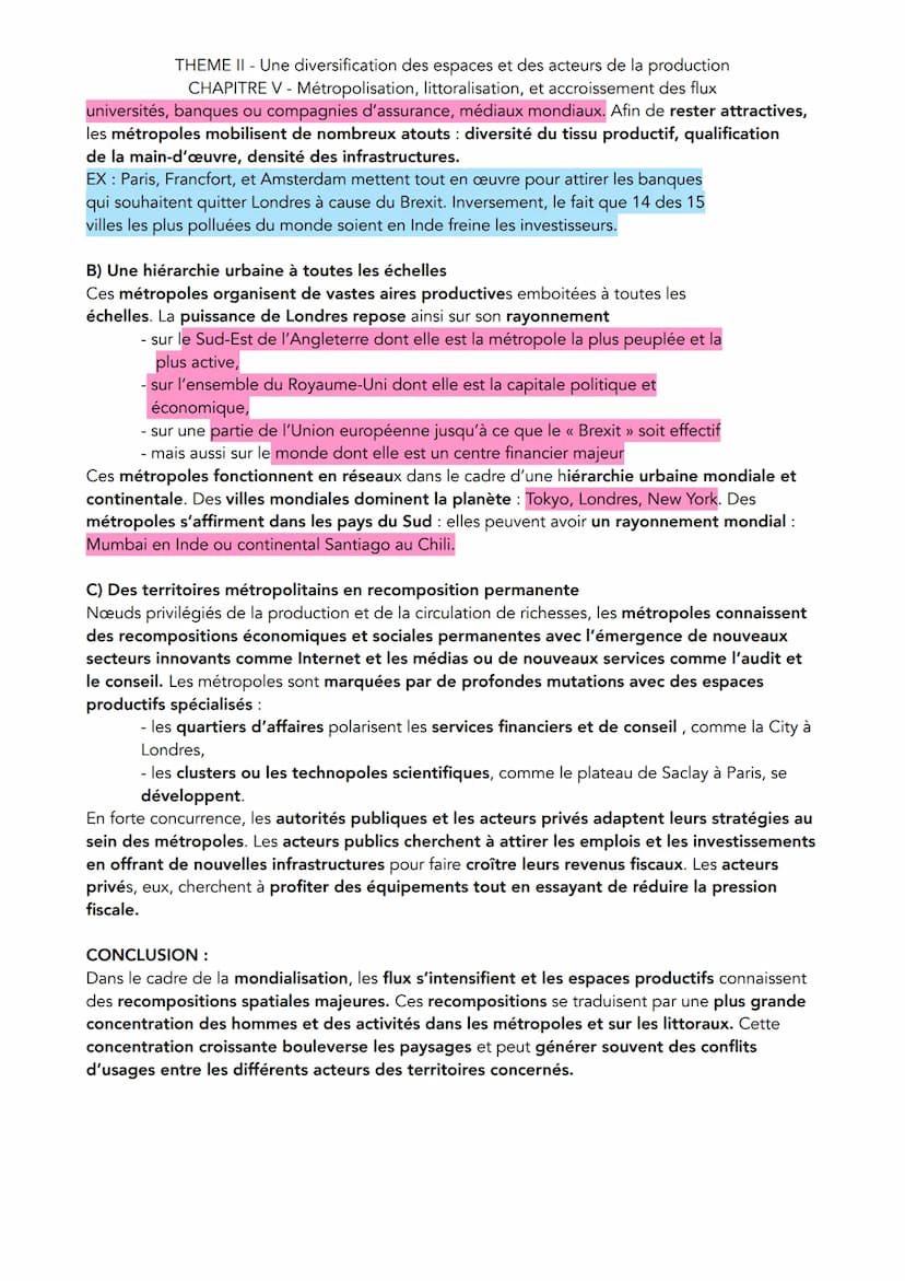 THEME II - Une diversification des espaces et des acteurs de la production
CHAPITRE V - Métropolisation, littoralisation, et accroissement d