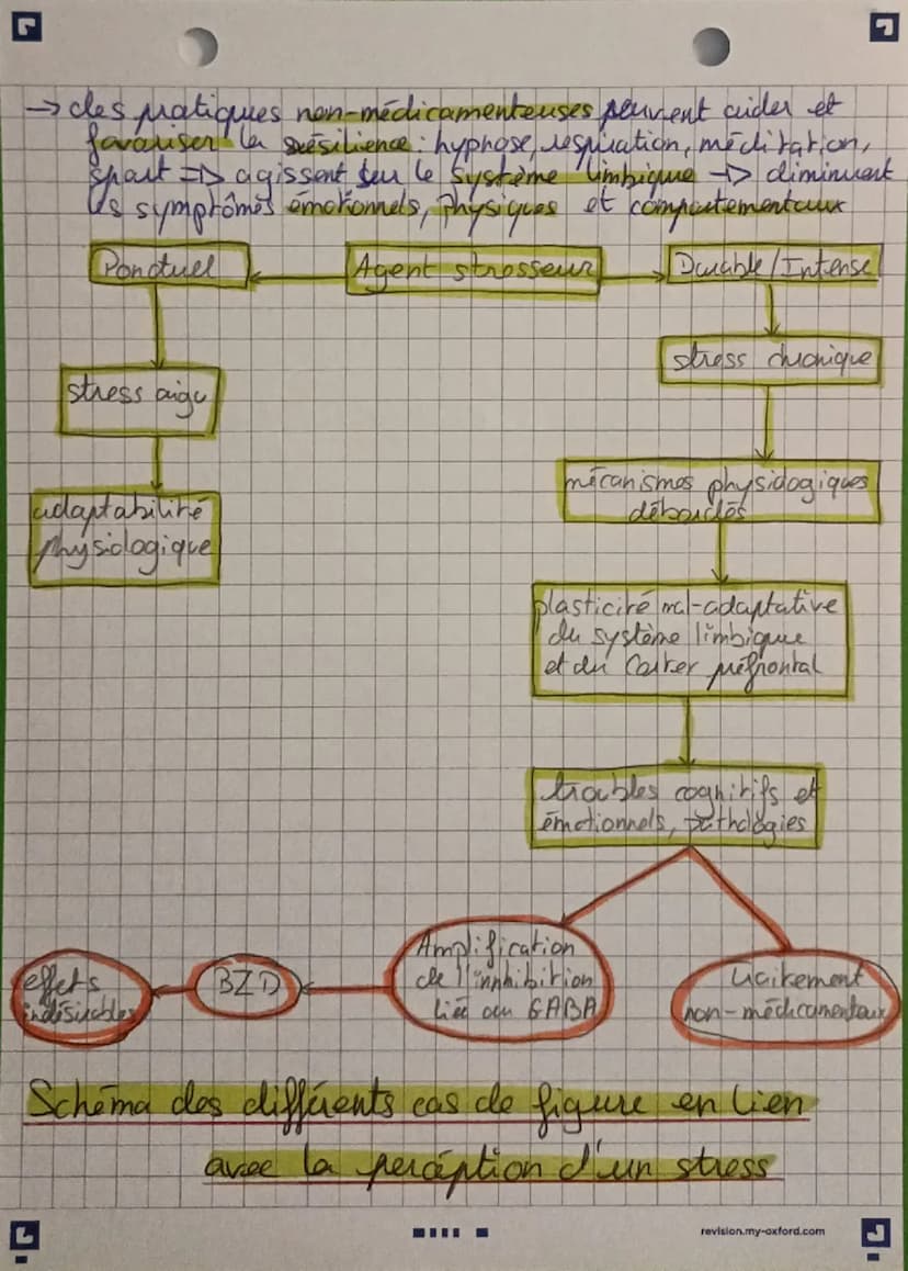 G
2
L'organisme
déborde dans ses
capacités d'adaptations
Le stress chronique:
→ stress chronique: réponse de l'organisme à des stimuli
stres