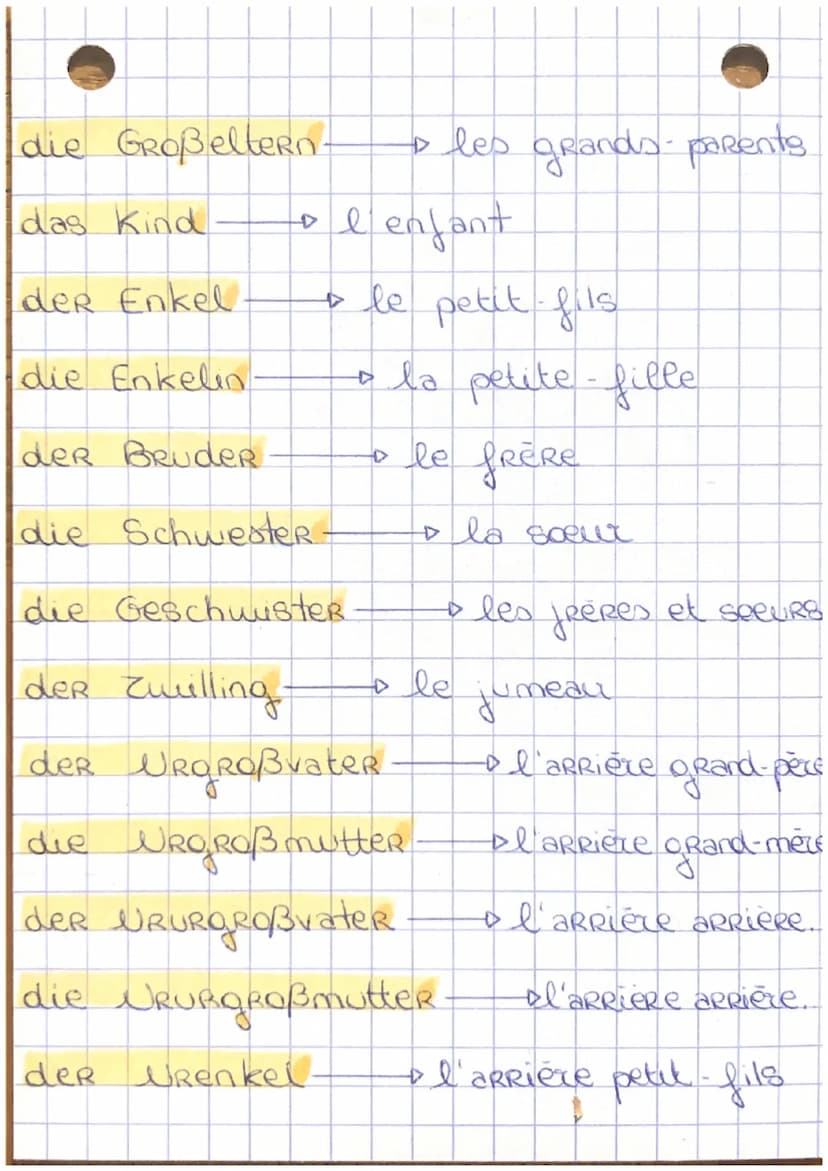 DIE FAMILIE:
a la famille
оле рече
die Familie
der Vater-
die Mutter.
die Eltern
der Sohn.
die TochteR.
der Mann
• la mère
。 les parents
+ l