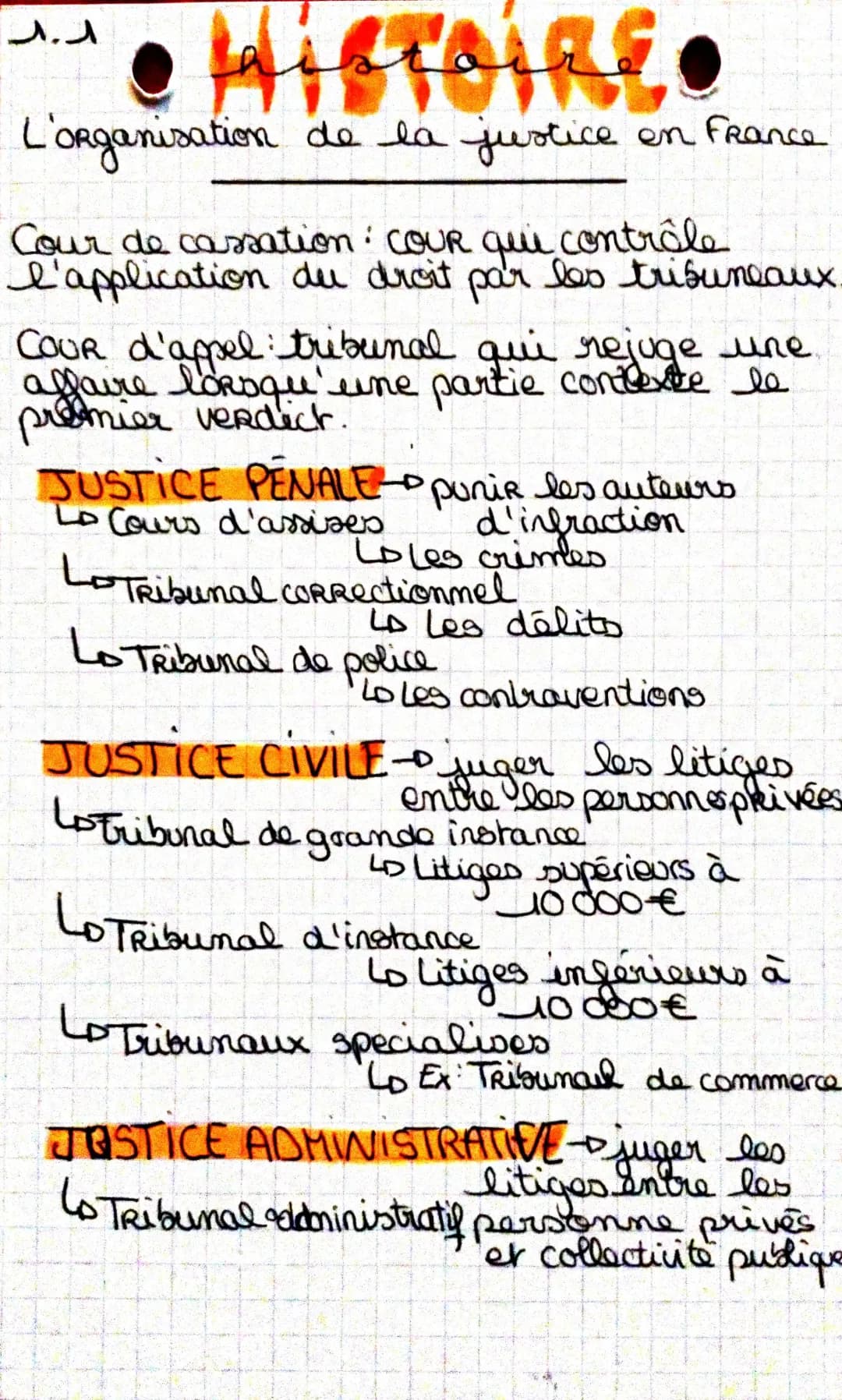 Histoire et Organisation de la Justice en France: Tribunaux et Mineurs