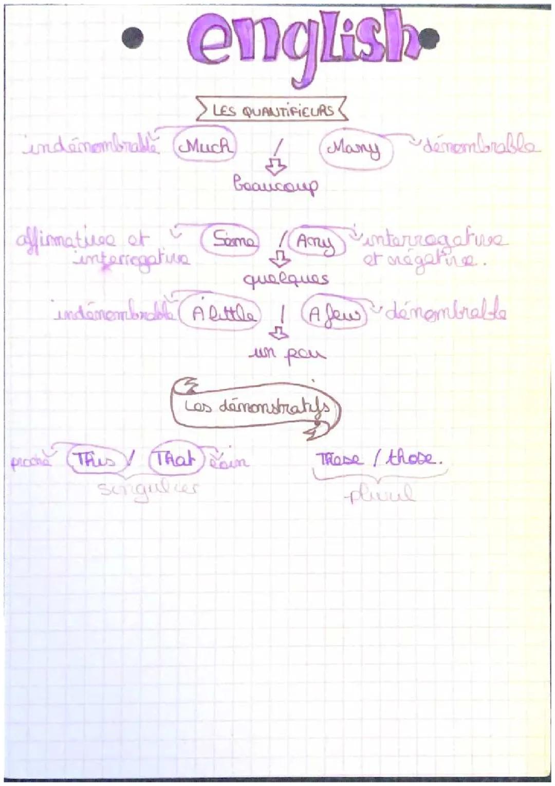 Les articles, les pronoms possessifs, les quantifieurs et les démonstratifs 