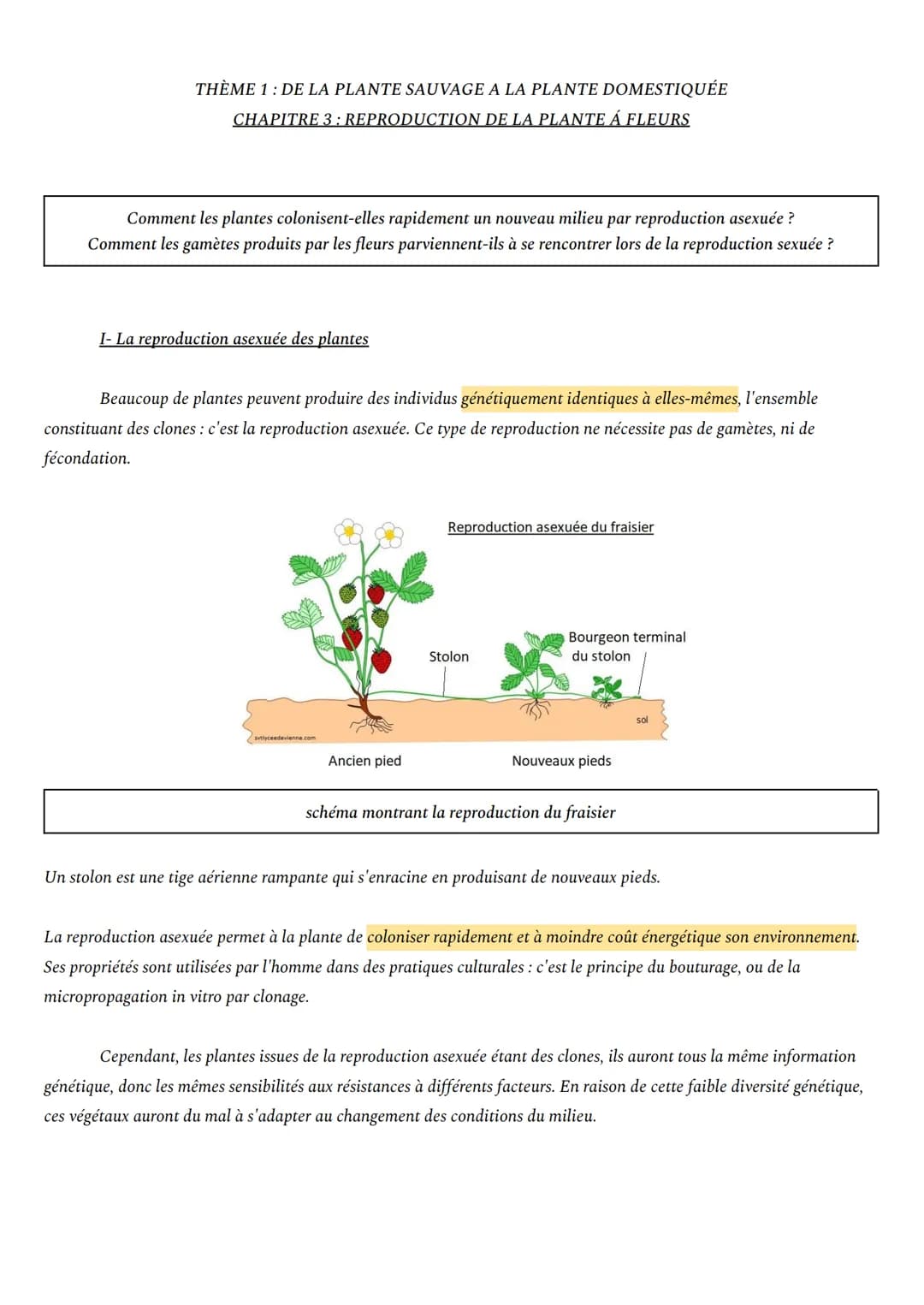 THÈME 1: DE LA PLANTE SAUVAGE A LA PLANTE DOMESTIQUÉE
CHAPITRE 3 : REPRODUCTION DE LA PLANTE Á FLEURS
Comment les plantes colonisent-elles r