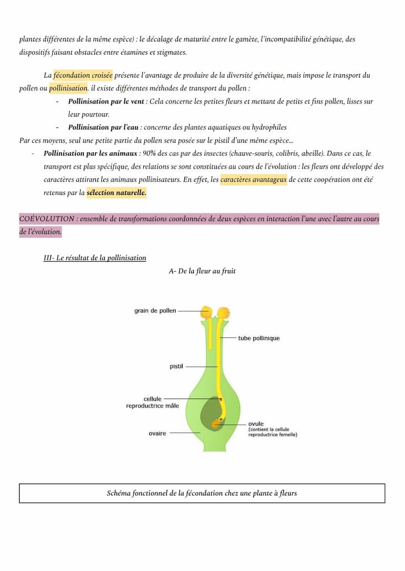 THÈME 1: DE LA PLANTE SAUVAGE A LA PLANTE DOMESTIQUÉE
CHAPITRE 3 : REPRODUCTION DE LA PLANTE Á FLEURS
Comment les plantes colonisent-elles r