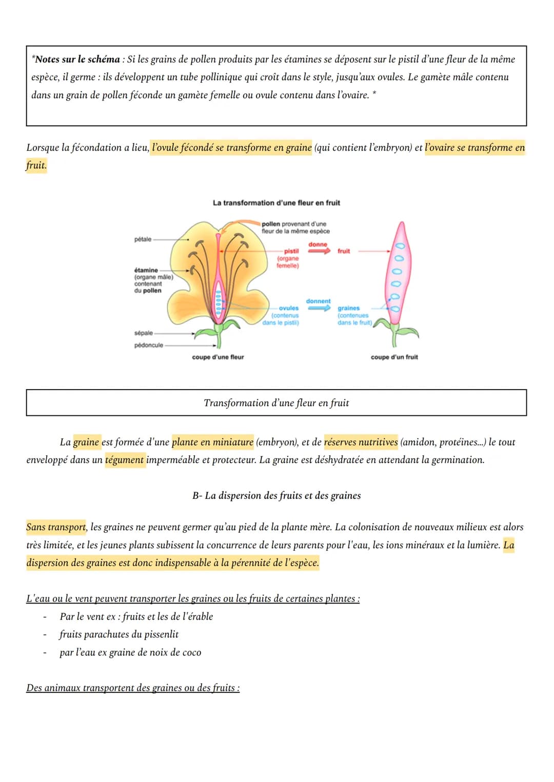 THÈME 1: DE LA PLANTE SAUVAGE A LA PLANTE DOMESTIQUÉE
CHAPITRE 3 : REPRODUCTION DE LA PLANTE Á FLEURS
Comment les plantes colonisent-elles r