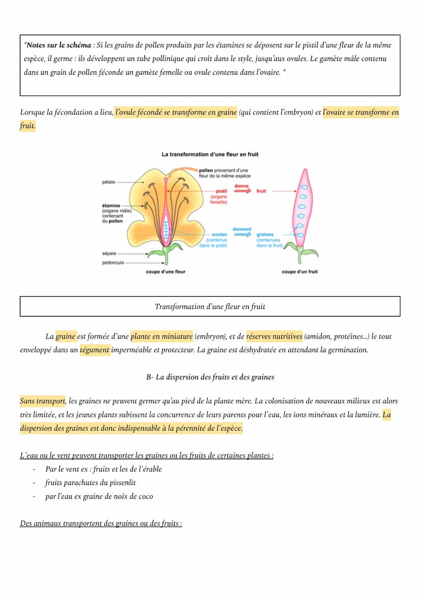 THÈME 1: DE LA PLANTE SAUVAGE A LA PLANTE DOMESTIQUÉE
CHAPITRE 3 : REPRODUCTION DE LA PLANTE Á FLEURS
Comment les plantes colonisent-elles r