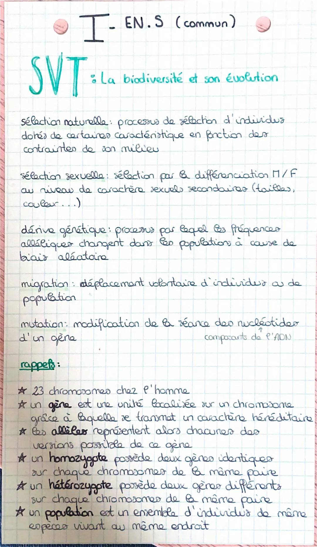 I-EN.S (commun)
SVT
sélection naturelle: processus de sélection d'individus
dohés de certaines caractéristique en fonction des
contraintes d