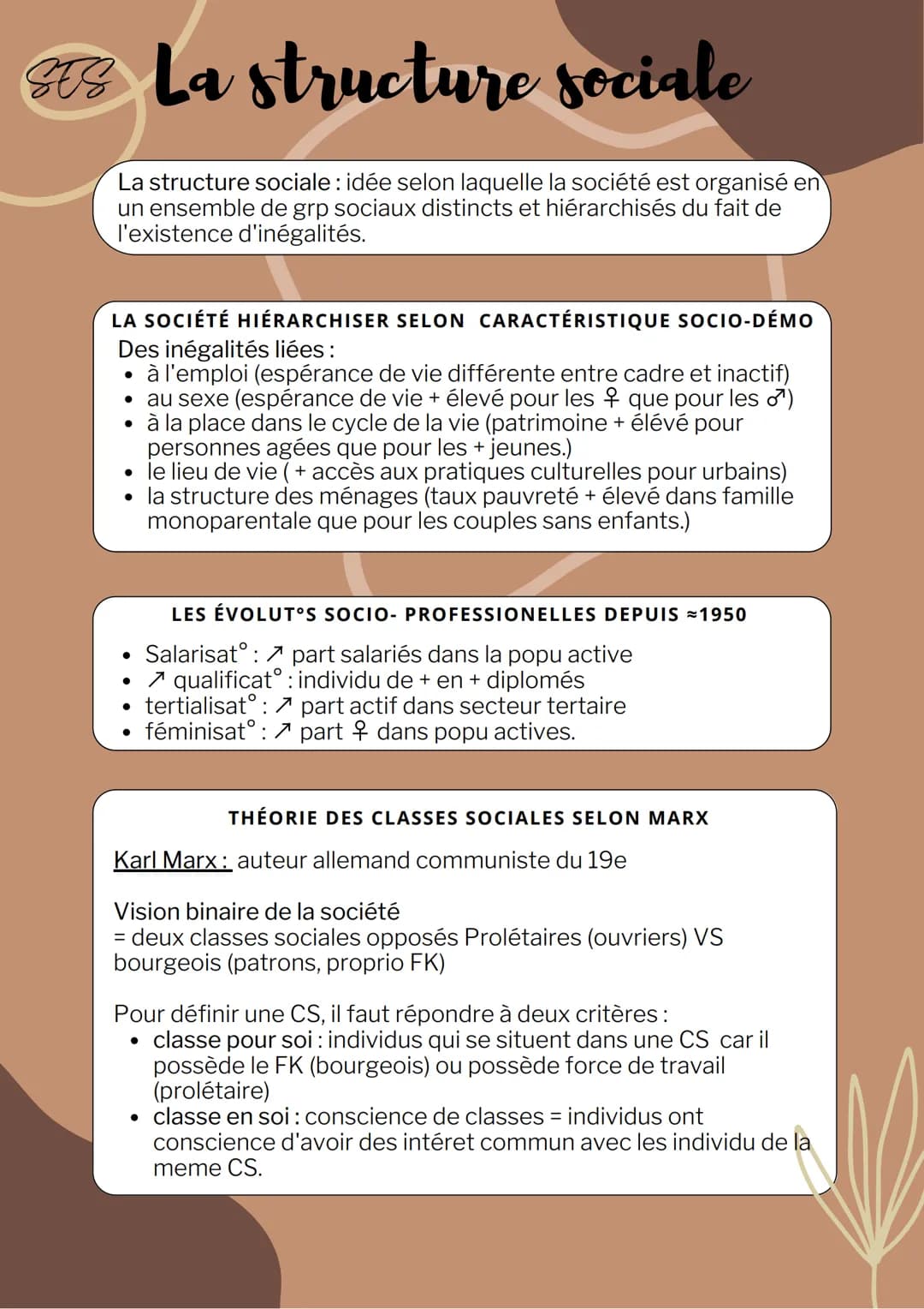 SES La structure sociale
La structure sociale: idée selon laquelle la société est organisé en
un ensemble de grp sociaux distincts et hiérar