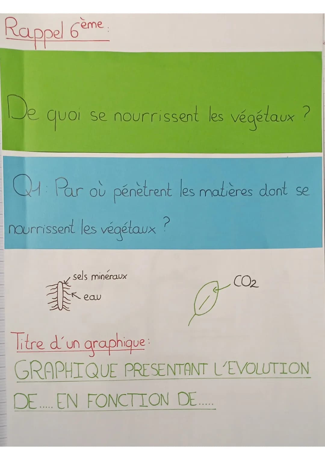 SVT
définitions:
seve: liquide nourricier du végétal
seve élaborée: matière organique produite au niveau des
feuilles qui est mélangée à de 