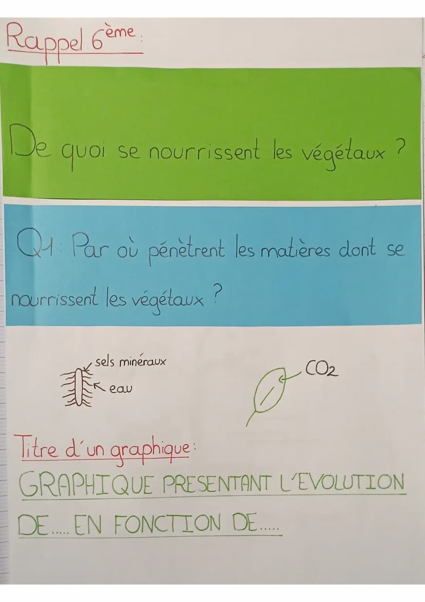 SVT
définitions:
seve: liquide nourricier du végétal
seve élaborée: matière organique produite au niveau des
feuilles qui est mélangée à de 