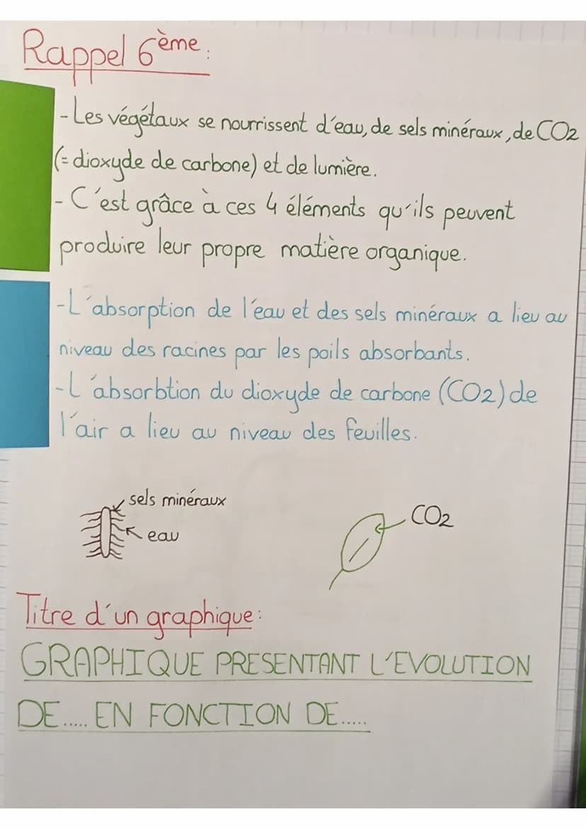 SVT
définitions:
seve: liquide nourricier du végétal
seve élaborée: matière organique produite au niveau des
feuilles qui est mélangée à de 