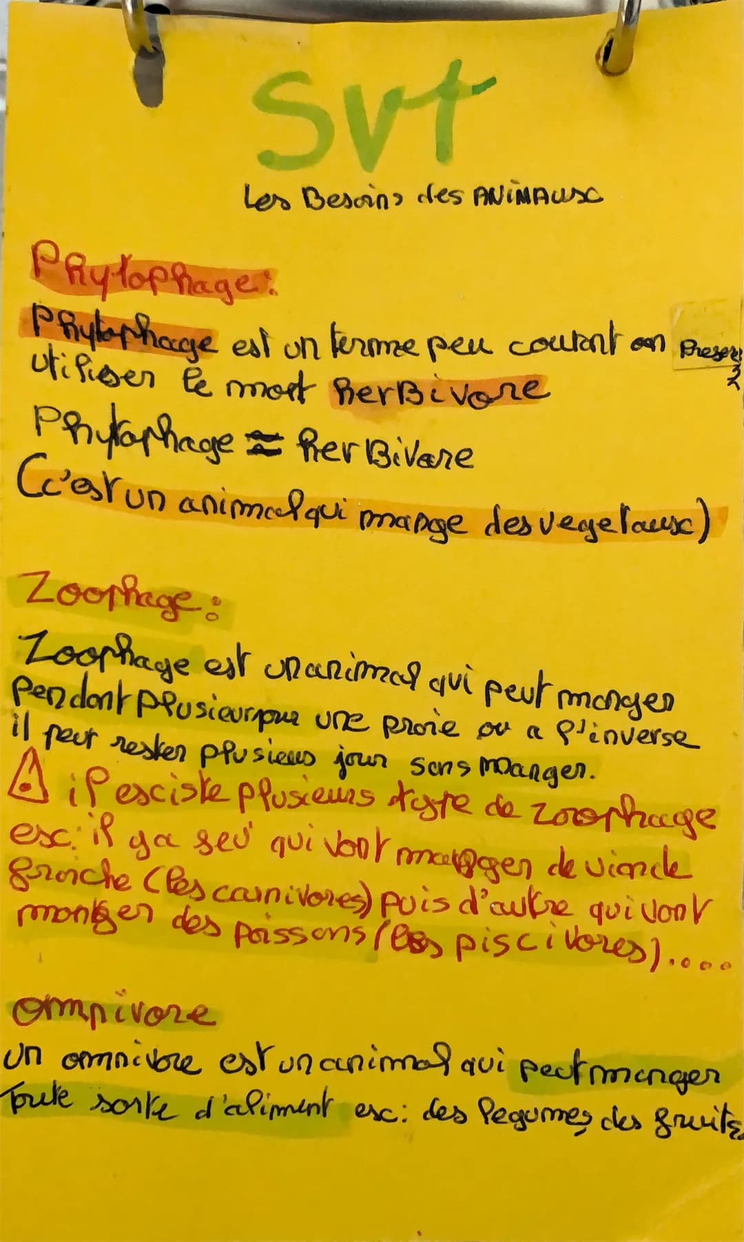 Svt
Les Besoins des ANIMAUX
Phytophaget
Phytophage est un terme peu courant on presery
utiliser le mort herbivore
3
Phytophage Rer Bivare
C'
