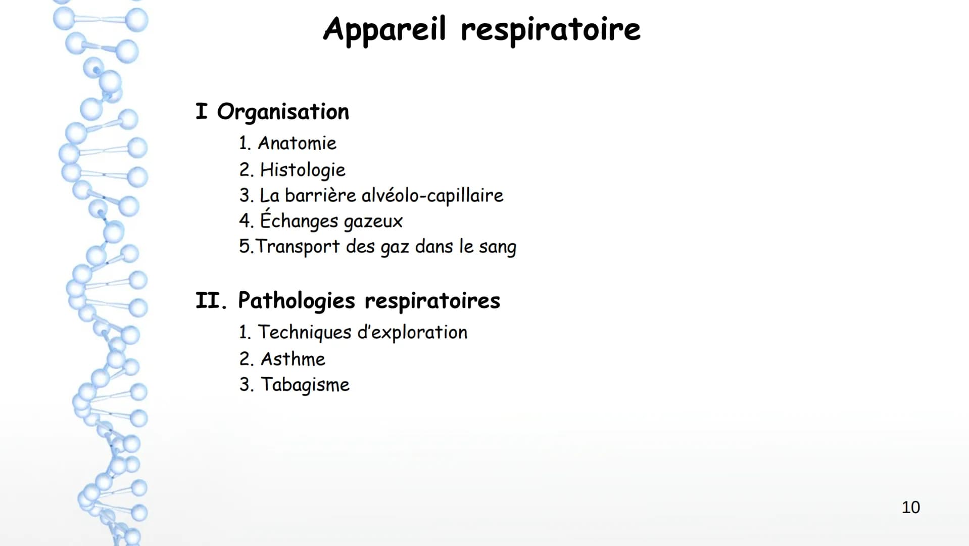 Aorte
Veine cave
supérieure
Poumon
droit
Poumon
droit
Veine cave
inférieure
Coeur
Le larynx
La trachée
Coeur
Artère
pulmonaire
Veines
pulmon