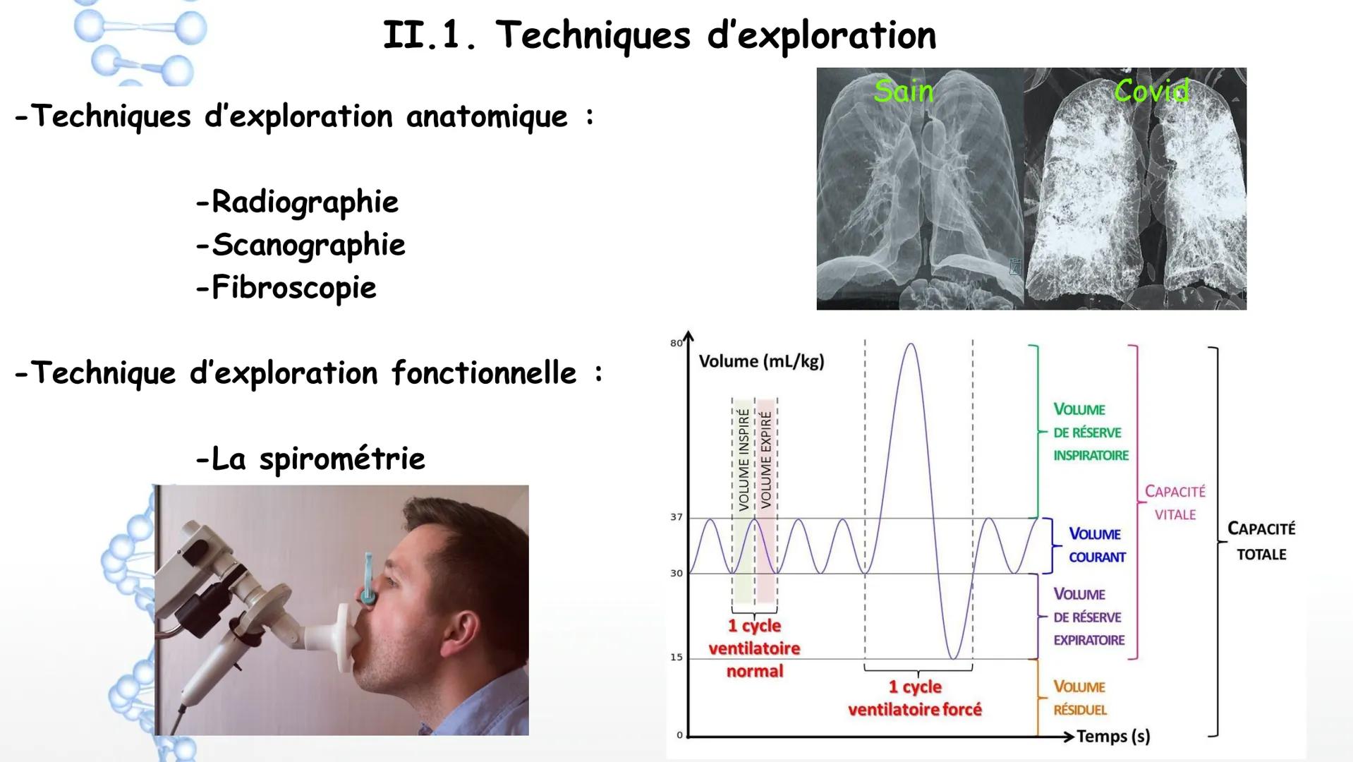 Aorte
Veine cave
supérieure
Poumon
droit
Poumon
droit
Veine cave
inférieure
Coeur
Le larynx
La trachée
Coeur
Artère
pulmonaire
Veines
pulmon