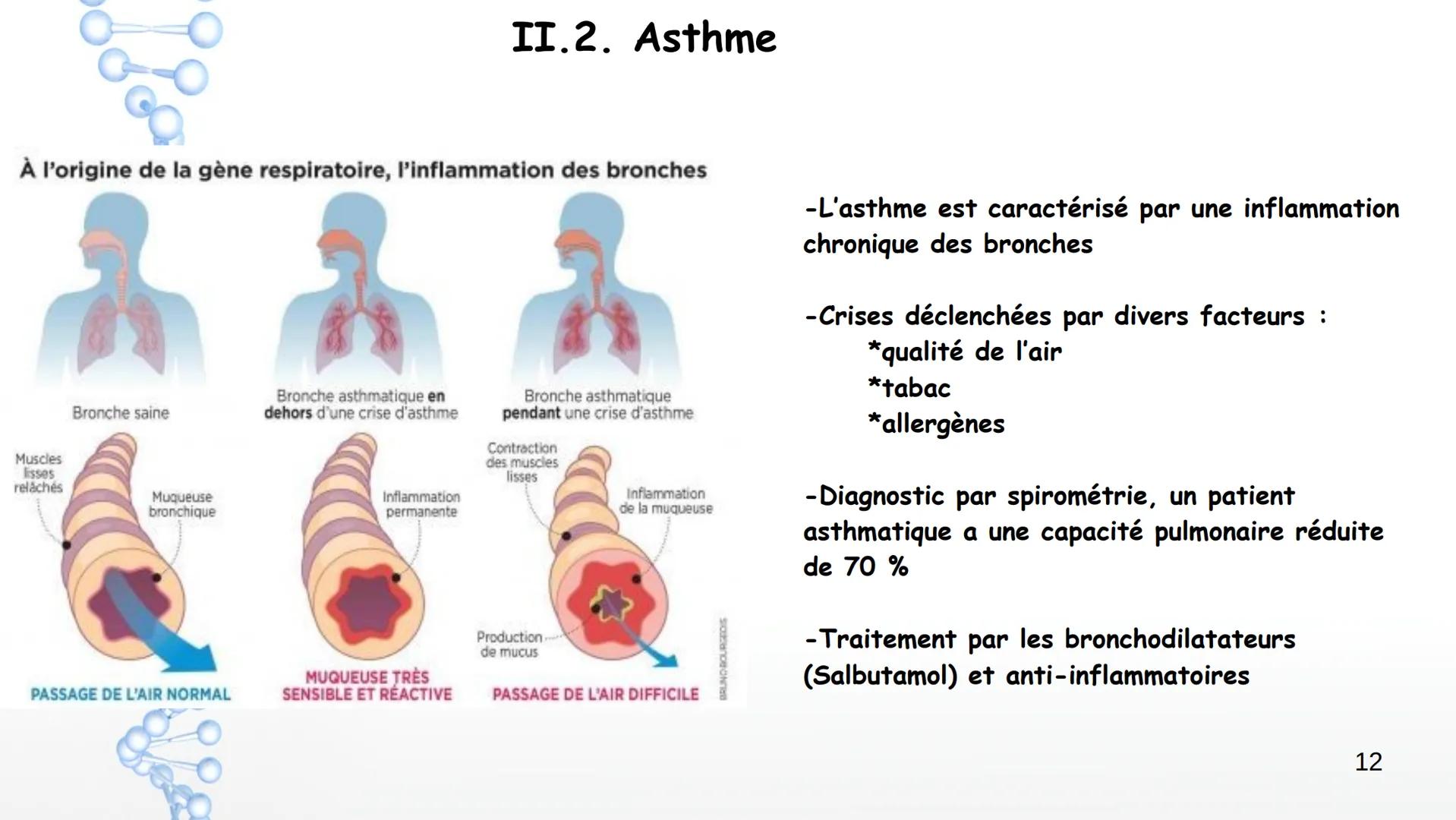 Aorte
Veine cave
supérieure
Poumon
droit
Poumon
droit
Veine cave
inférieure
Coeur
Le larynx
La trachée
Coeur
Artère
pulmonaire
Veines
pulmon