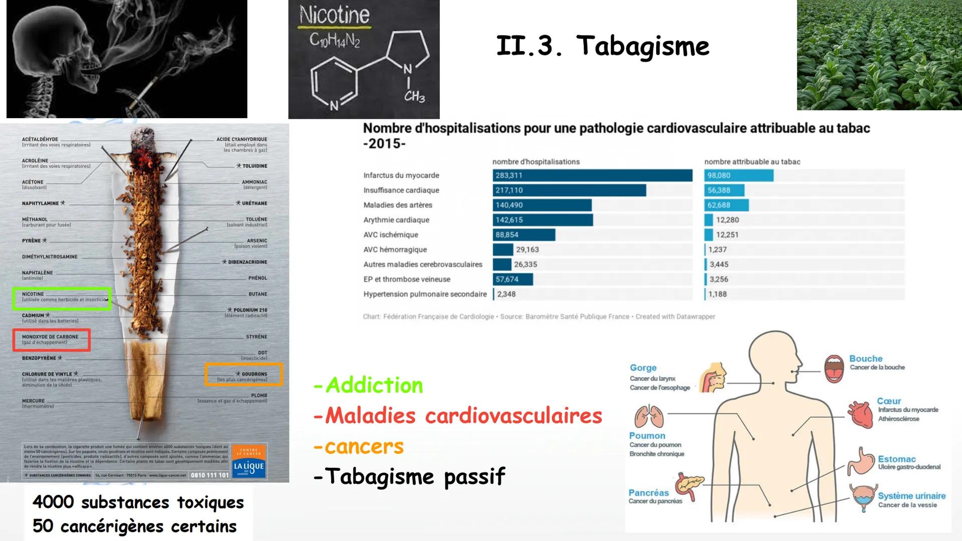 Aorte
Veine cave
supérieure
Poumon
droit
Poumon
droit
Veine cave
inférieure
Coeur
Le larynx
La trachée
Coeur
Artère
pulmonaire
Veines
pulmon