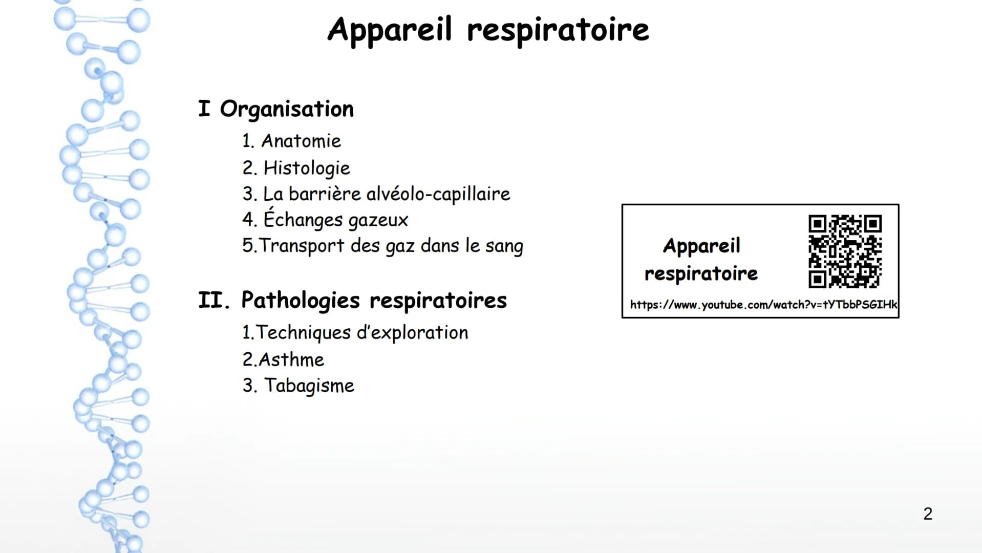 Aorte
Veine cave
supérieure
Poumon
droit
Poumon
droit
Veine cave
inférieure
Coeur
Le larynx
La trachée
Coeur
Artère
pulmonaire
Veines
pulmon