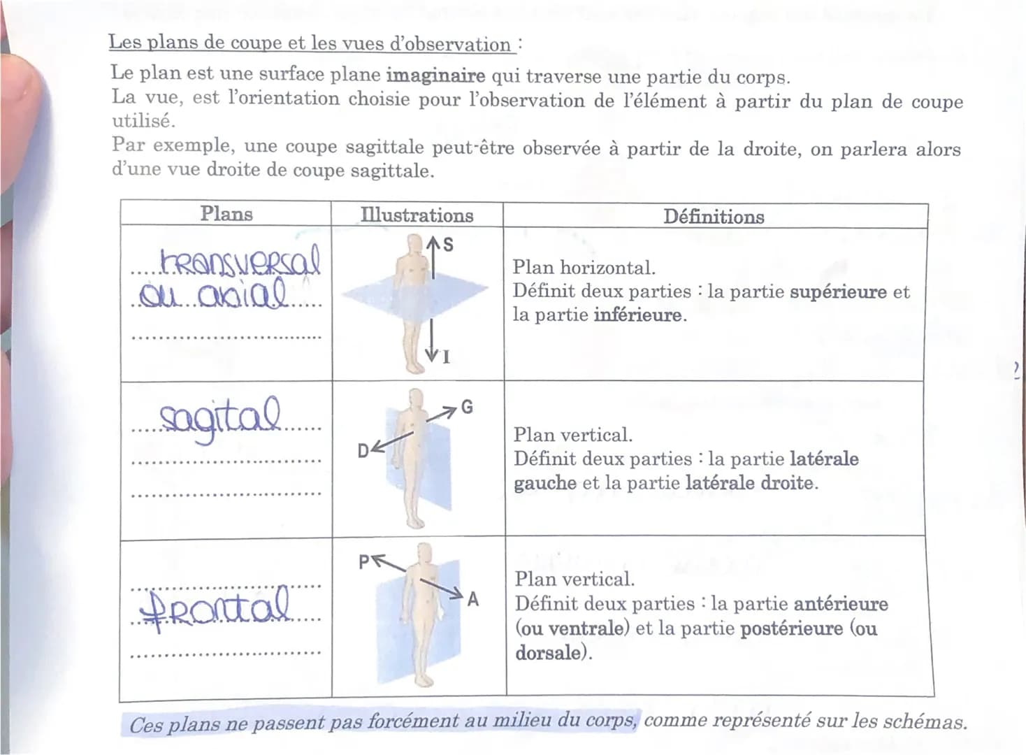 Les plans de coupe et les vues d'observation :
Le plan est une surface plane imaginaire qui traverse une partie du corps.
La vue, est l'orie