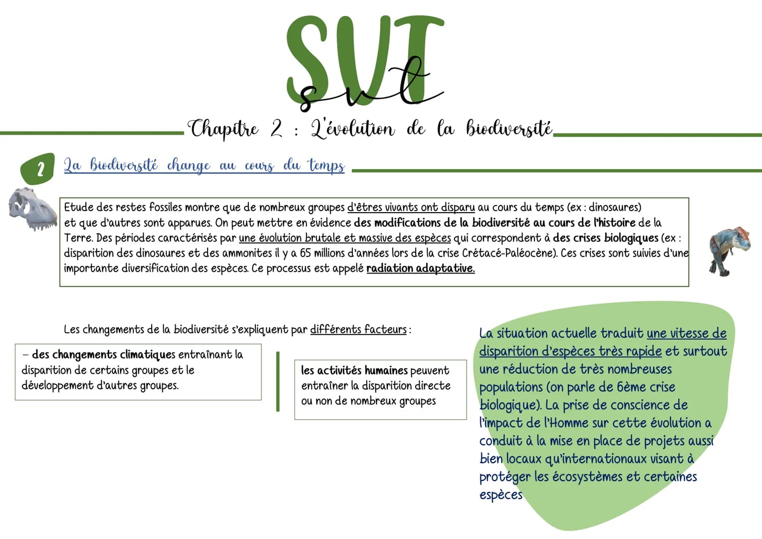 SUT
・ Chapitre 2 : L'évolution de la biodiversité.
2 2a biodiversité change au cours du temps
Etude des restes fossiles montre que de nombre
