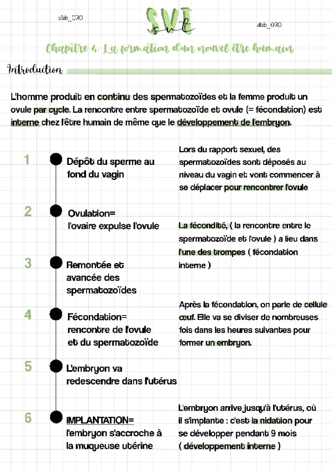 Les Étapes du Développement Embryonnaire et Fœtal: De l'Embryon au Fœtus