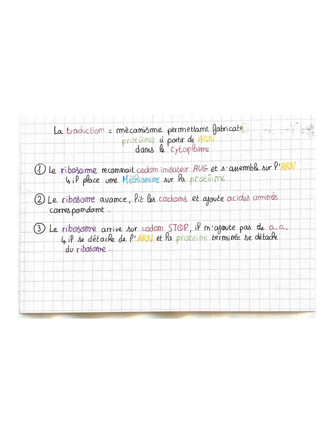 
<p>La transcription est le mécanisme permettant la fabrication de l'ARN à partir de l'ADN dans le noyau. L'ARN polymérase, une enzyme, comm