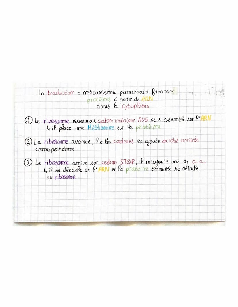 
<p>La transcription est le mécanisme permettant la fabrication de l'ARN à partir de l'ADN dans le noyau. L'ARN polymérase, une enzyme, comm