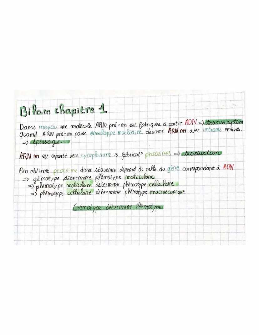 
<p>La transcription est le mécanisme permettant la fabrication de l'ARN à partir de l'ADN dans le noyau. L'ARN polymérase, une enzyme, comm