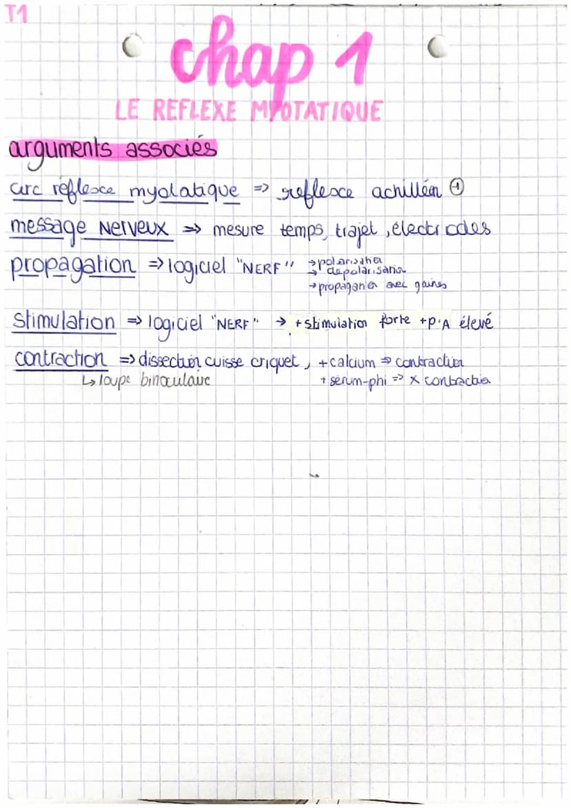 11
chap 1
LE REFLEXE MYOTATIQUE
réflexe réaction motrice involontaire in repense à une stimulation
->
réflexe my statique → contraction invo