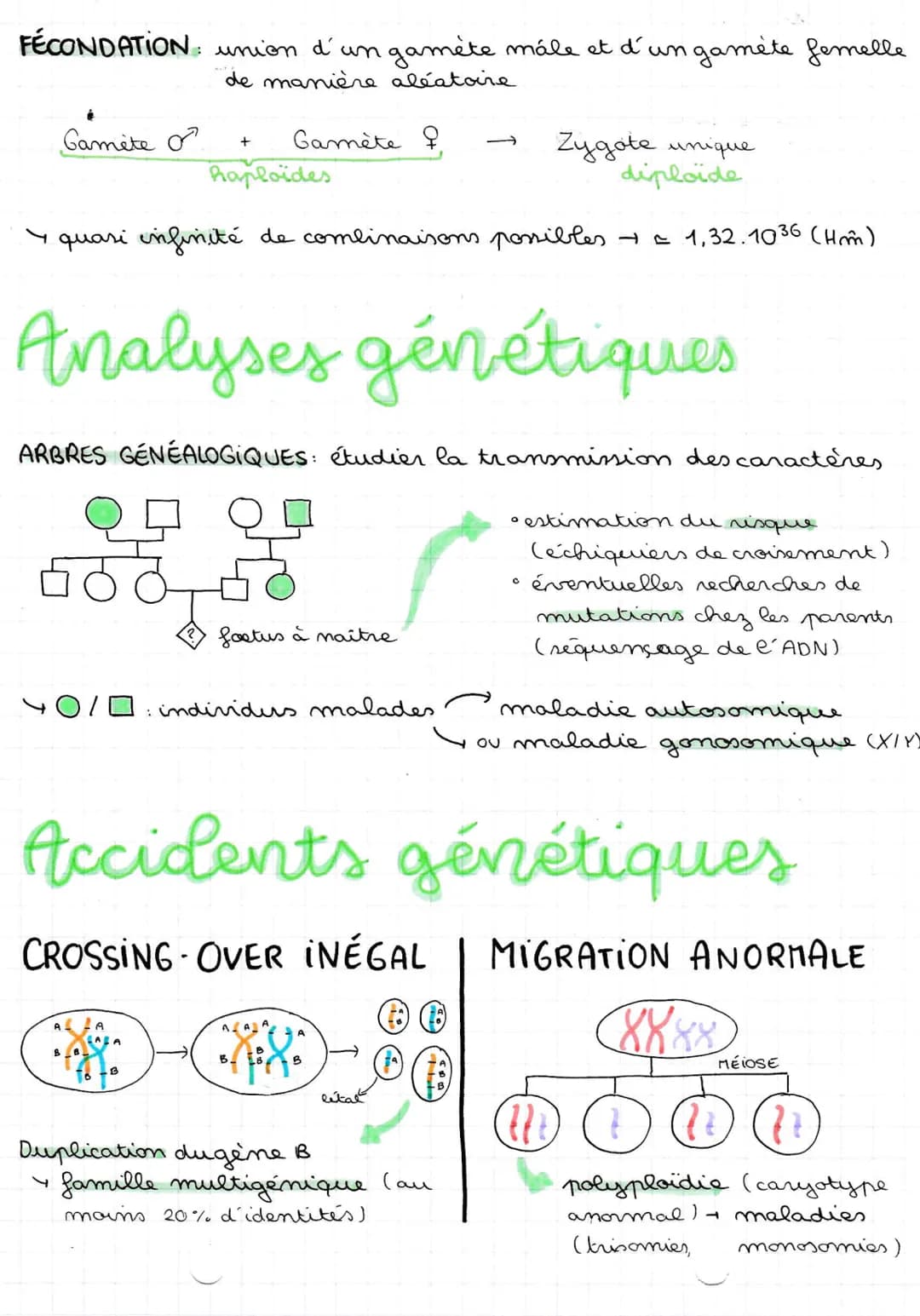 ORIGINE DU
génotype
18109122
Conservation
CLONE CELLULAIRE: ensemble de cellules issues de mitoses
successives d'une cellule initiale
foncti