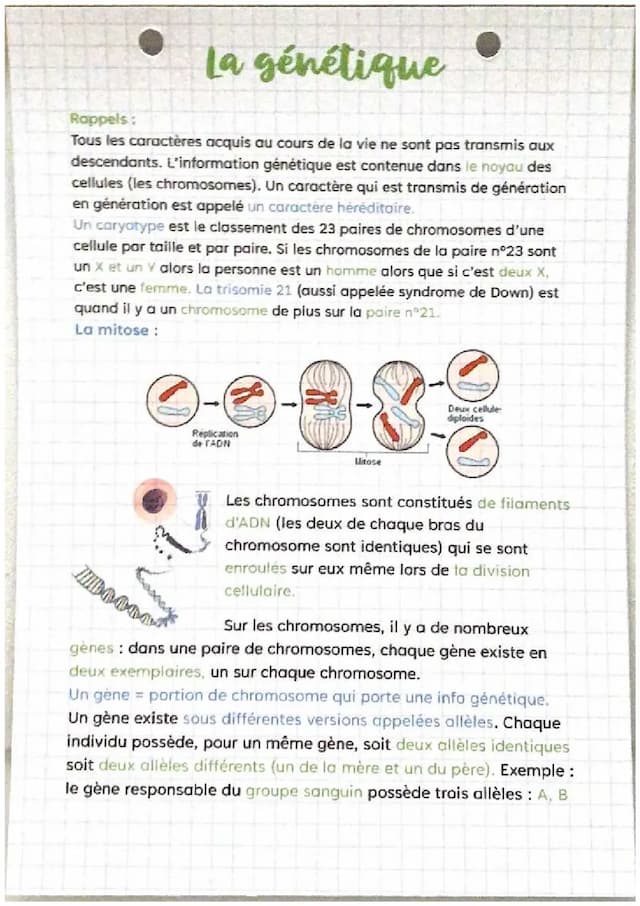 Know La génétique  thumbnail