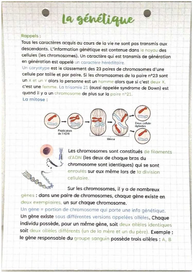 Know La génétique  thumbnail