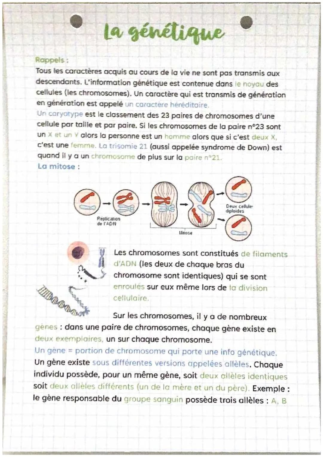 La génétique 