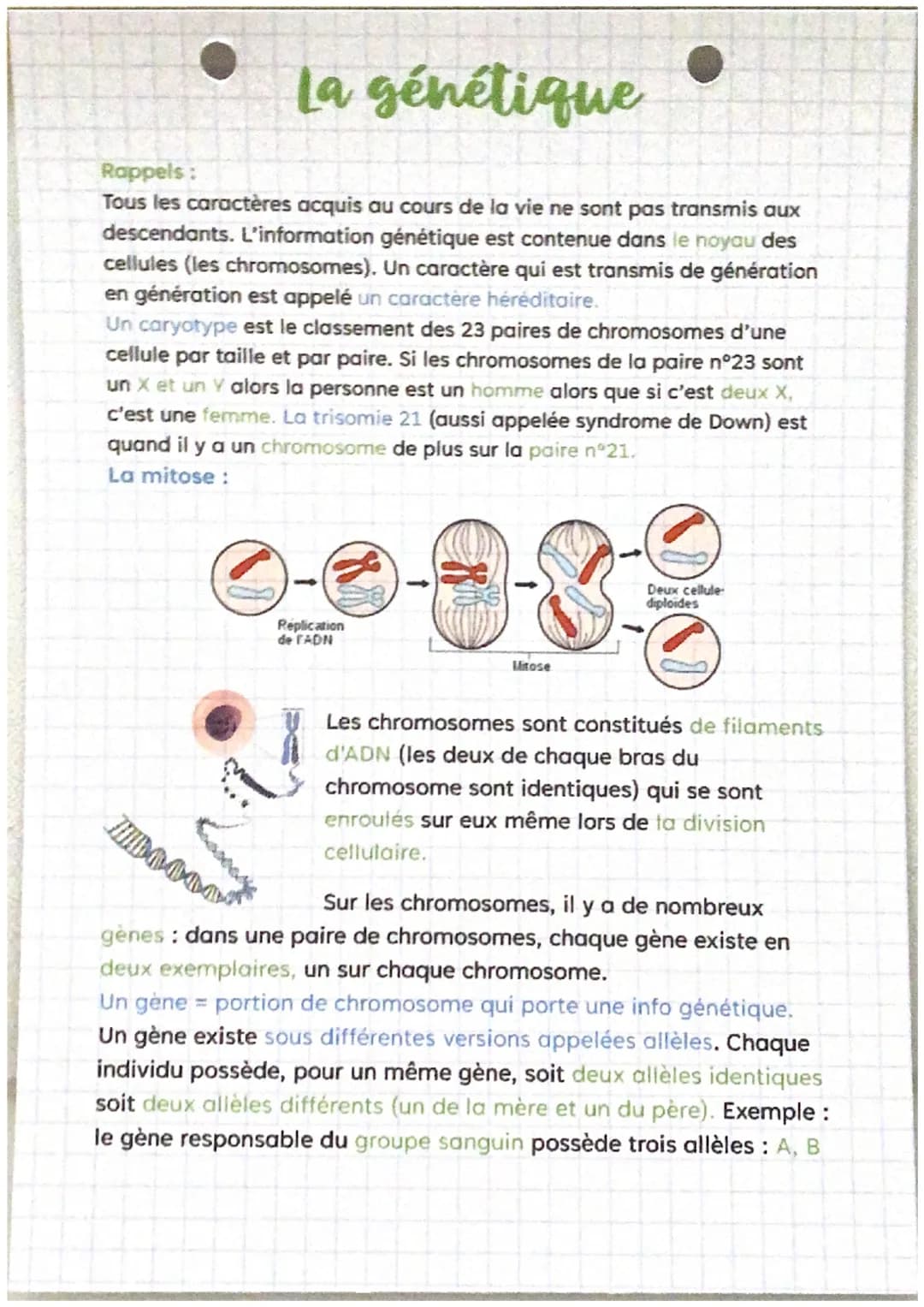 La génétique
Rappels:
Tous les caractères acquis au cours de la vie ne sont pas transmis aux
descendants. L'information génétique est conten