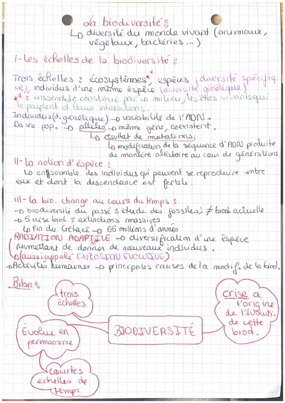 # da biodiversité
Lo diversité du monde vivant (animaux,
végétaux, bactéries...)

i-les échelles de la biodiversité:

Trois échelles: écosys