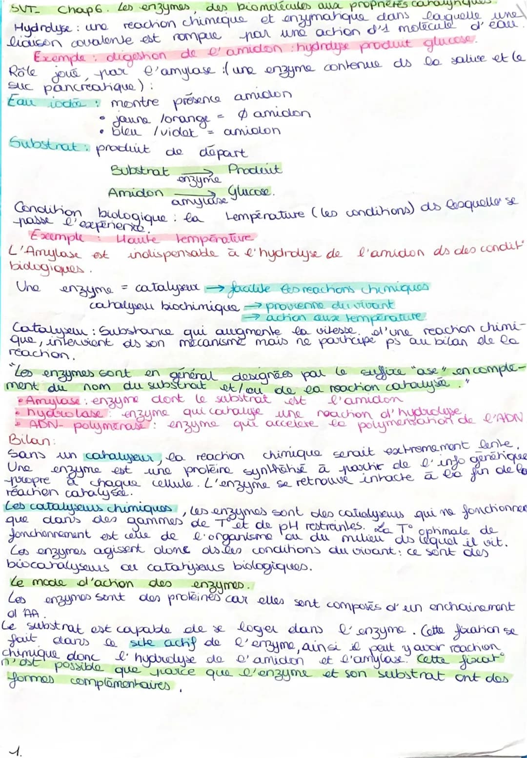 Découvre Les Enzymes: Des Catalyseurs Magiques!