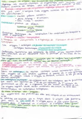 Know Les enzymes, des biomolécules aux propriétés catalytiques  thumbnail